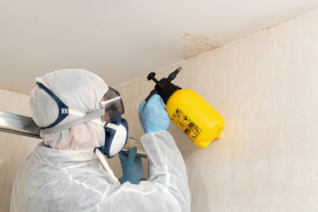 mold remediation guide