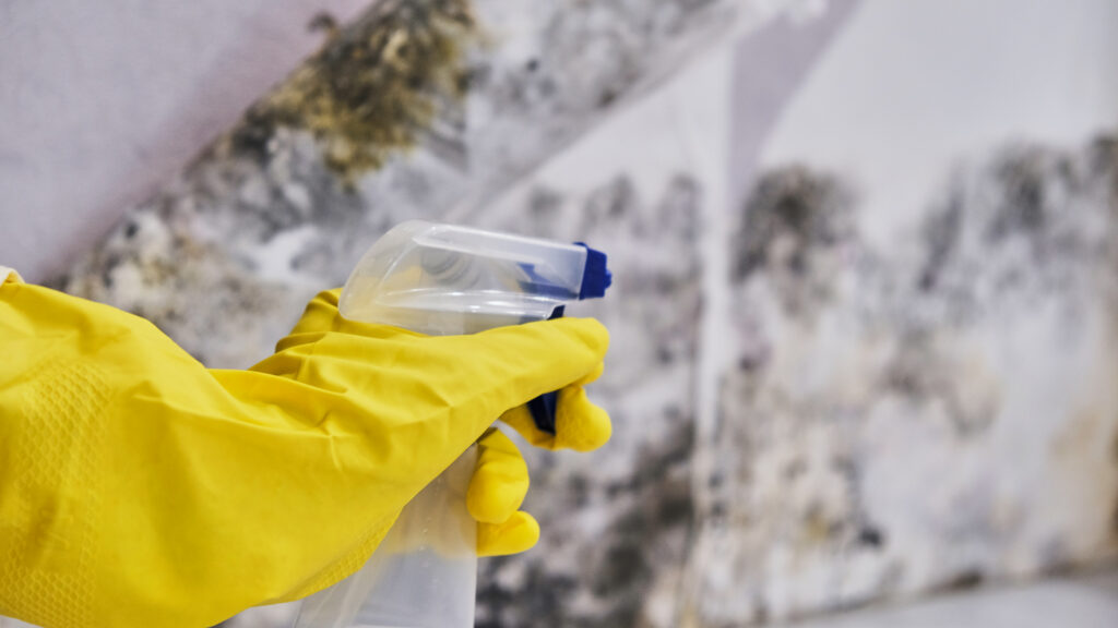 indoor air quality moisture control